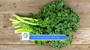 Giá cải xoăn xanh hôm nay