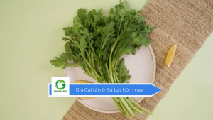Giá cải tần ô Đà Lạt hôm nay