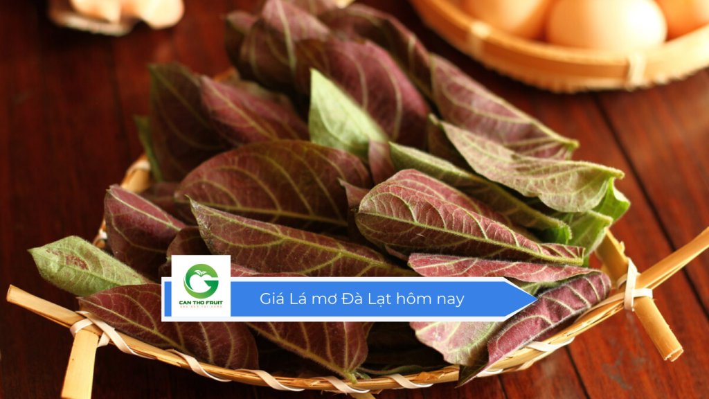 Giá lá mơ Đà Lạt hôm nay
