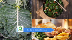 Giá cải rổ Đà Lạt hôm nay