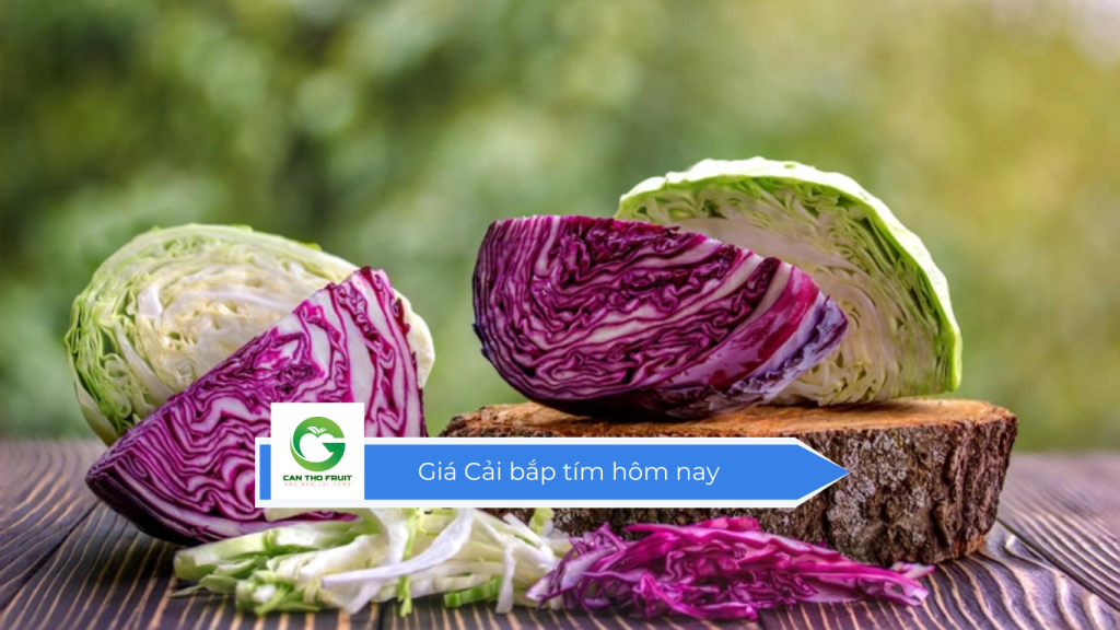 Giá cải bắp tím hôm nay