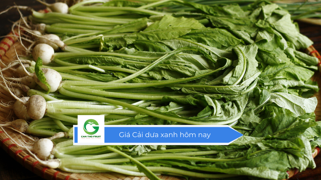 Giá cải dưa xanh hôm nay