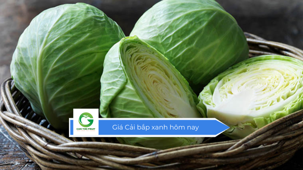 Giá cải bắp xanh hôm nay