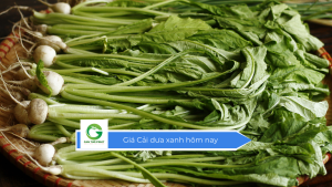 Giá cải dưa xanh hôm nay