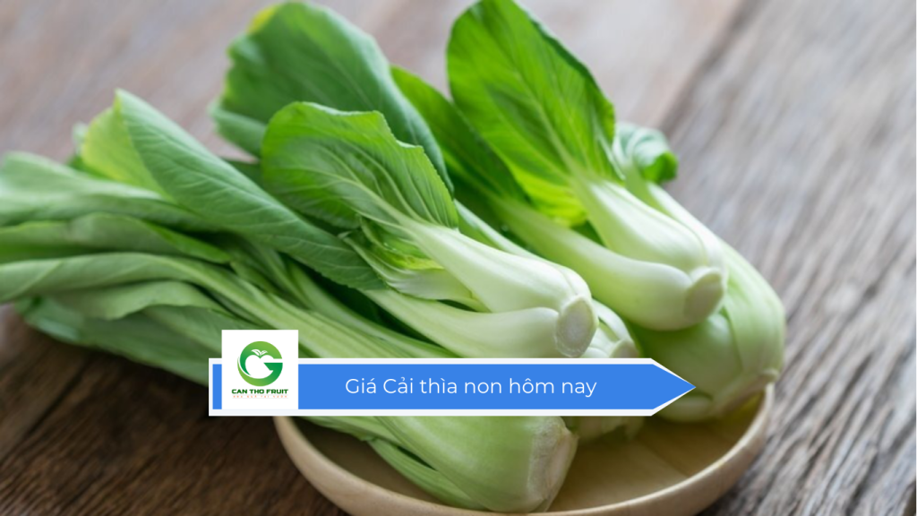 Giá cải thìa non hôm nay