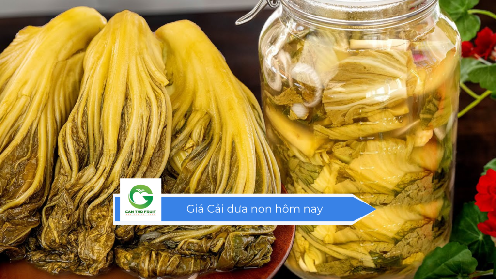 Giá cải dưa non hôm nay
