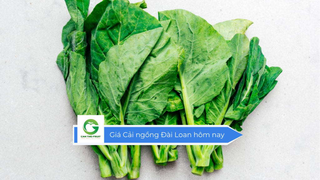 Giá cải ngồng Đài Loan hôm nay