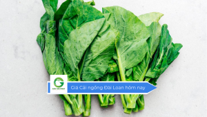 Giá cải ngồng Đài Loan hôm nay