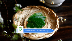 Giá lá chanh Đà Lạt hôm nay