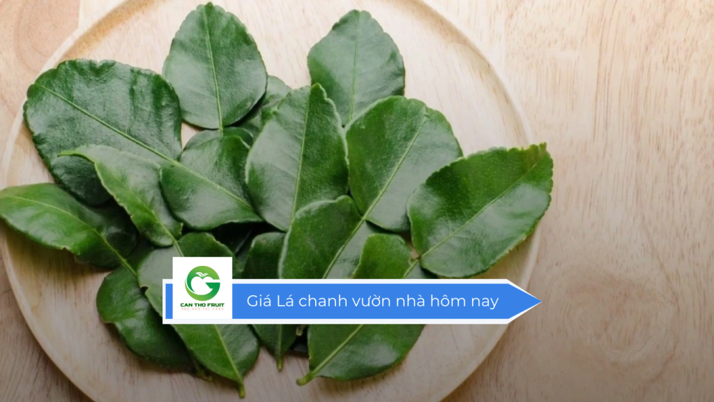Giá lá chanh vườn nhà hôm nay