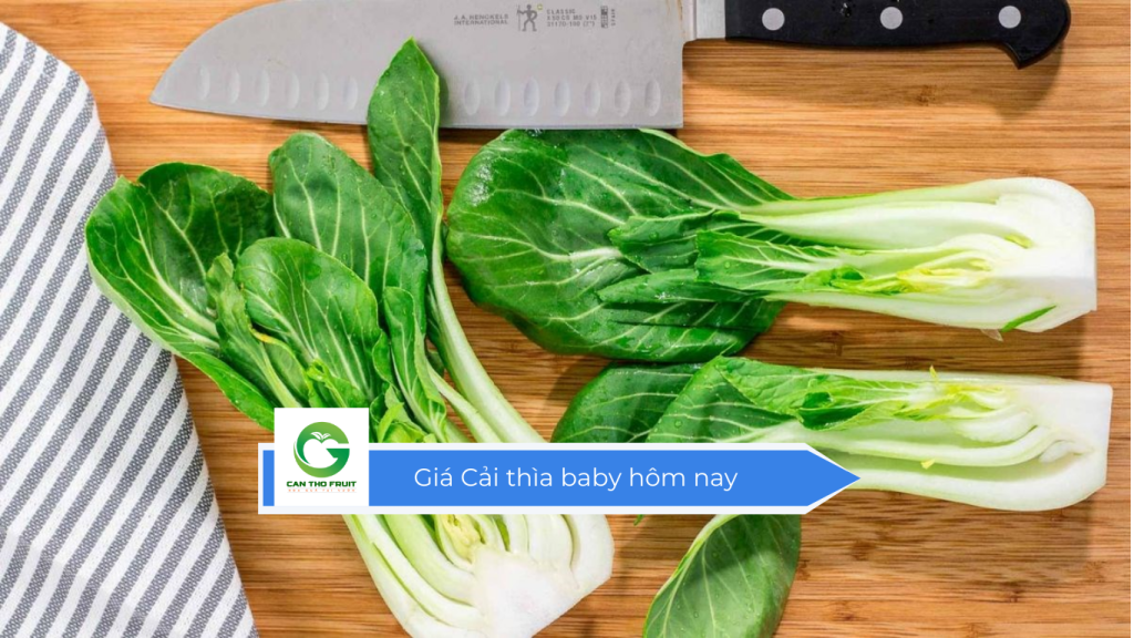 Giá cải thìa baby hôm nay