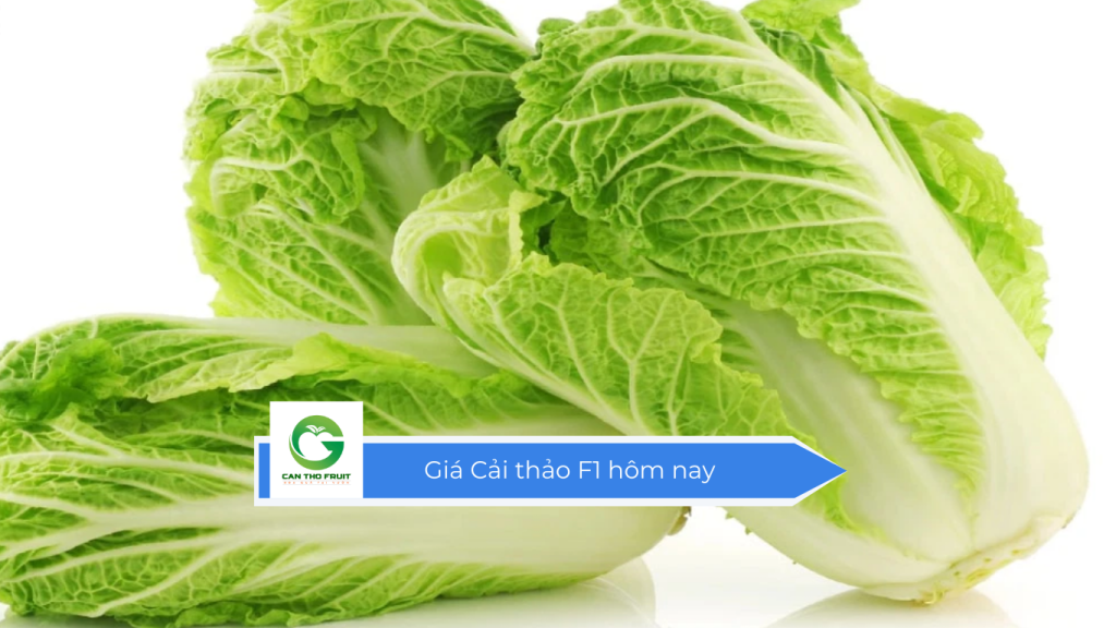 Giá cải thảo F1 hôm nay