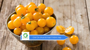Giá Cà chua bi loại 1 hôm nay