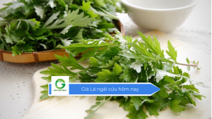 Giá Lá ngải cứu hôm nay