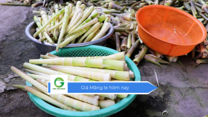 Giá Măng le hôm nay