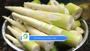 Giá Măng lồ ô hôm nay