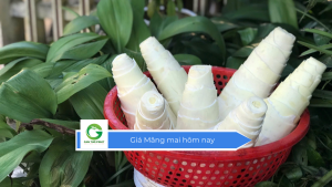 Giá Măng mai hôm nay