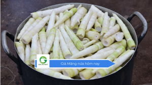 Giá Măng nứa hôm nay