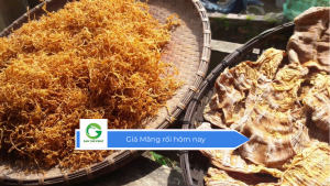 Giá Măng rối hôm nay