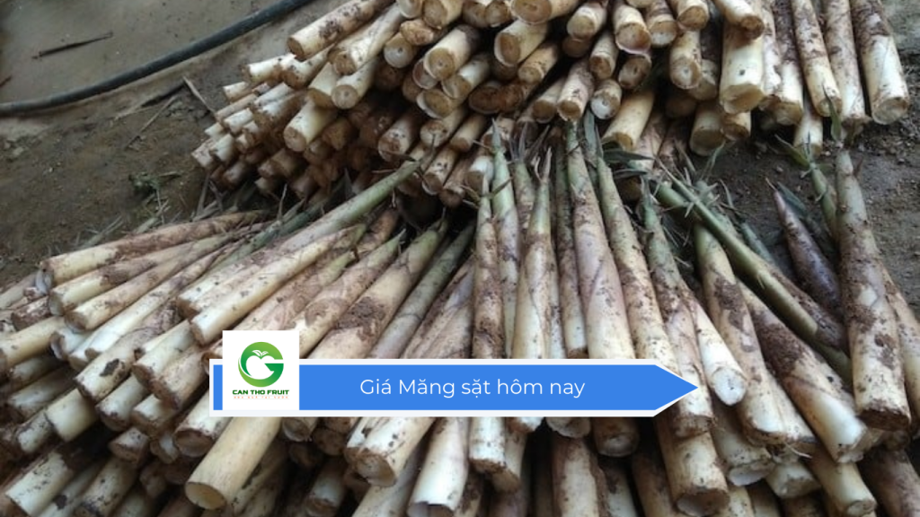 Giá Măng sặt hôm nay
