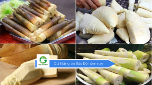 Giá Măng tre Bát Độ hôm nay