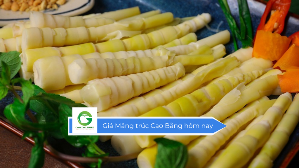 Giá Măng trúc Cao Bằng hôm nay