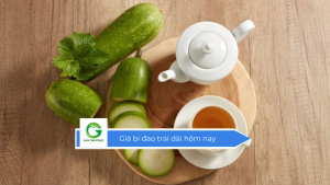Giá bí đao trái dài hôm nay