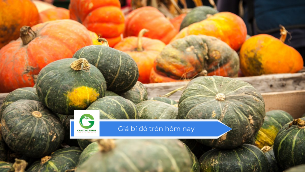 Giá bí đỏ tròn hôm nay