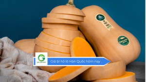 Giá bí hồ lô Hàn Quốc hôm nay
