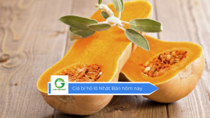 Giá bí hồ lô Nhật Bản hôm nay