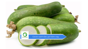 Giá bí xanh Đà Lạt hôm nay