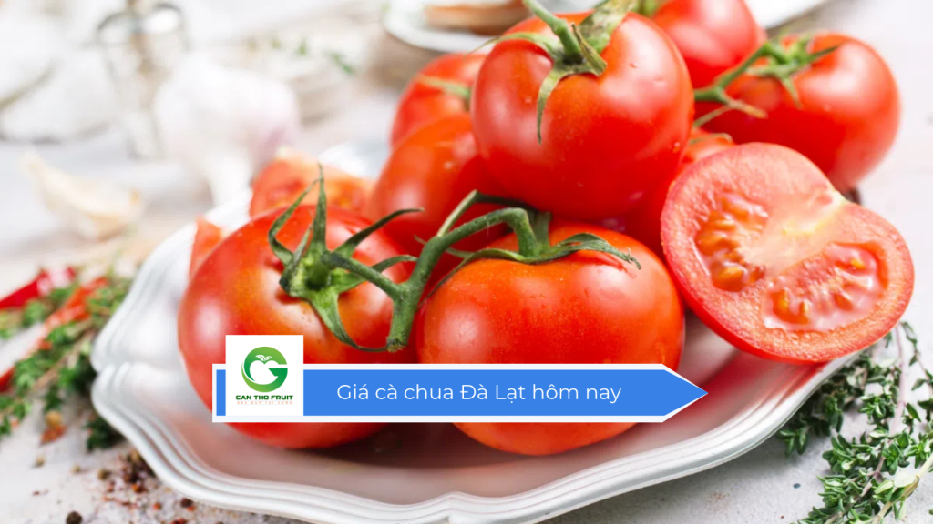 Giá cà chua Đà Lạt hôm nay