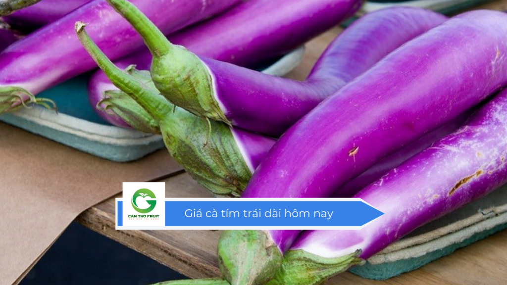 Giá cà tím trái dài hôm nay
