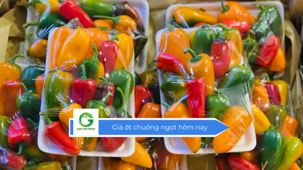 Giá ớt chuông ngọt hôm nay