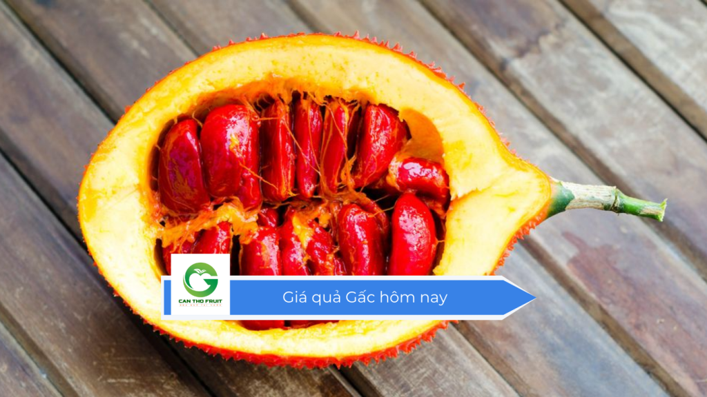 Giá quả Gấc hôm nay