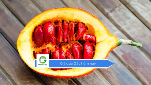 Giá quả Gấc hôm nay