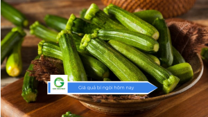 Giá quả bí ngòi hôm nay