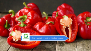 Giá quả ớt chuông đỏ hôm nay