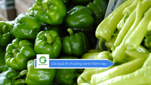 Giá quả ớt chuông xanh hôm nay