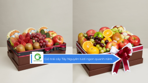 Giỏ trái cây Tây Nguyên tươi ngon quanh năm