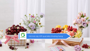 Giỏ trái cây VIP quà biếu thượng hạng