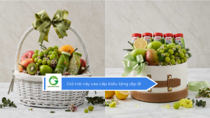 Giỏ trái cây cao cấp biếu tặng dịp lễ