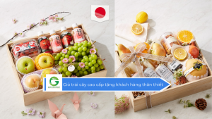 Giỏ trái cây cao cấp tặng khách hàng thân thiết