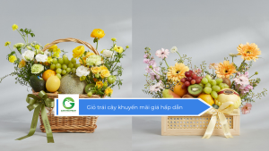 Giỏ trái cây khuyến mãi giá hấp dẫn
