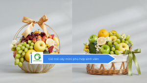 Giỏ trái cây mini phù hợp sinh viên