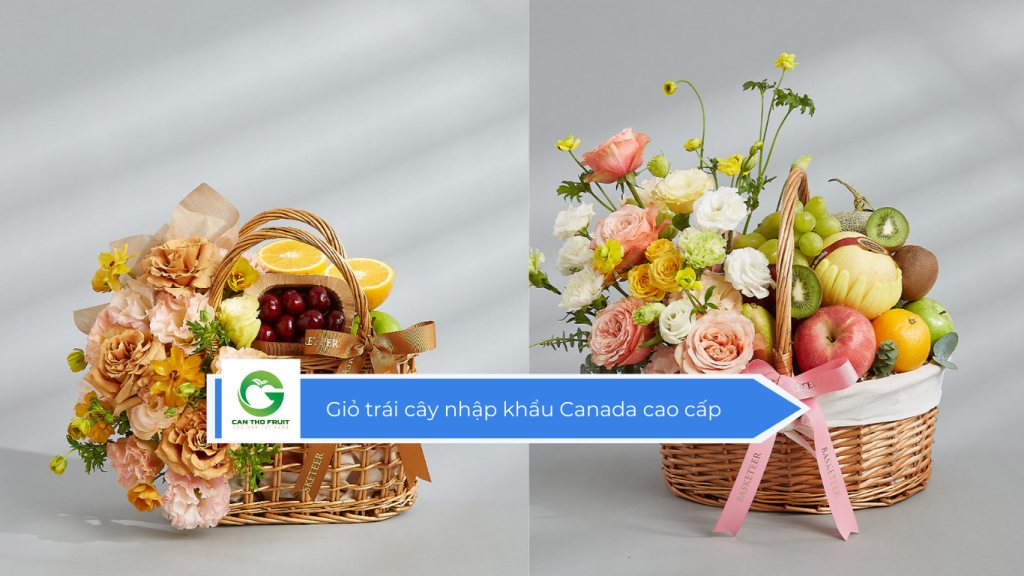 Giỏ trái cây nhập khẩu Canada cao cấp