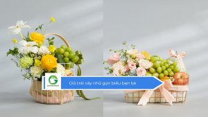 Giỏ trái cây nhỏ gọn biếu bạn bè