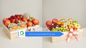 Giỏ trái cây quà biếu lễ tân gia