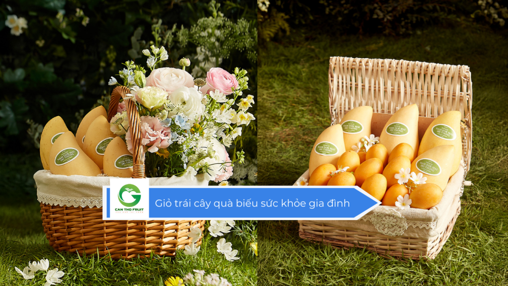 Giỏ trái cây quà biếu sức khỏe gia đình